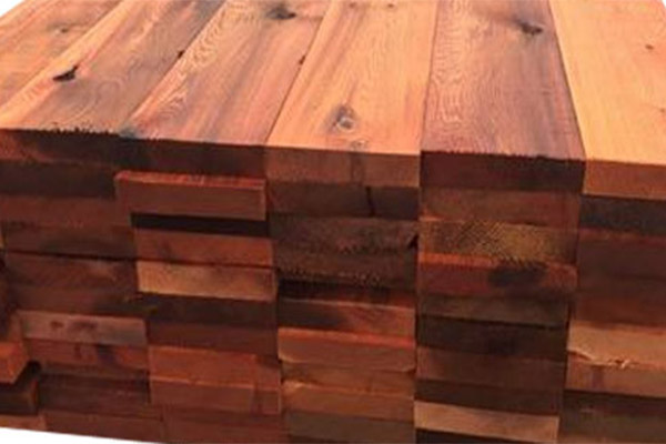 انواع چوب سرو