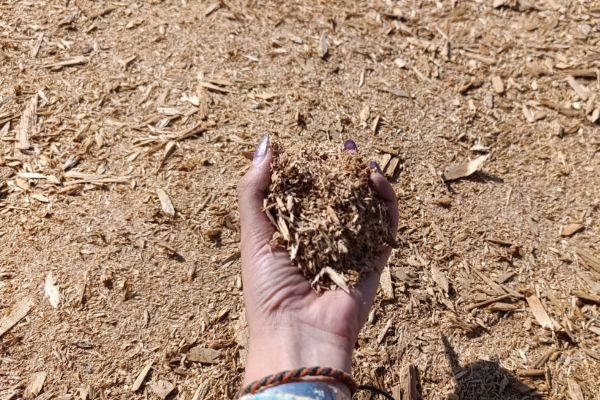 تبدیل خاک اره به دسته تی راهنمای گام به گام