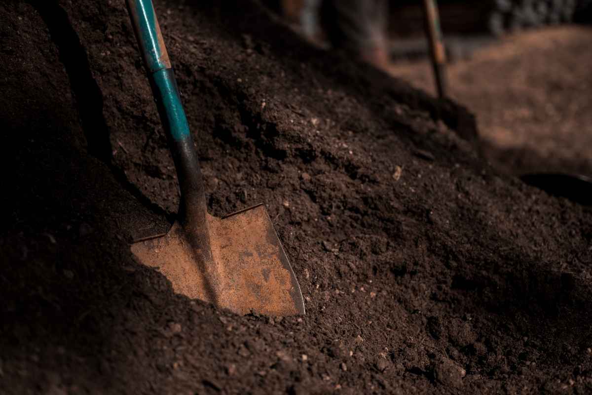 اهمیت و کاربرد دسته بیل